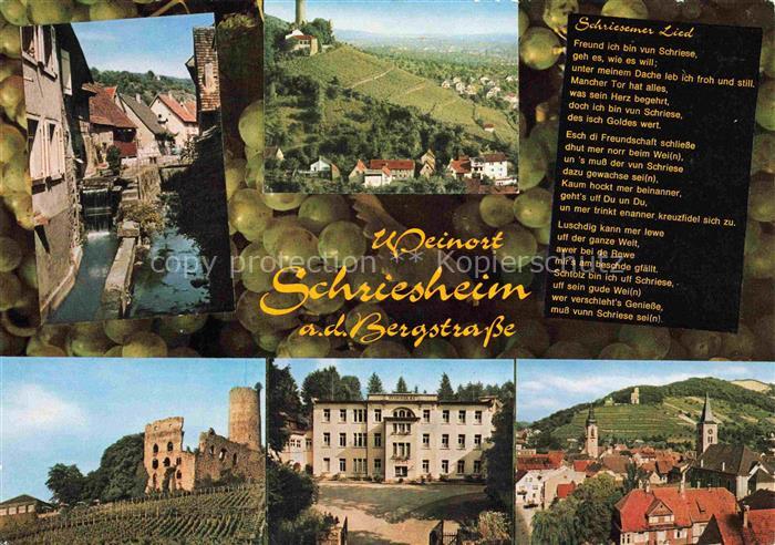 Schriesheim Kanal Ruine Panorama Kurhaus Ortspartie