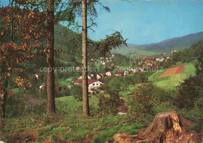 Altneudorf Schoenau Heidelberg BW Panorama