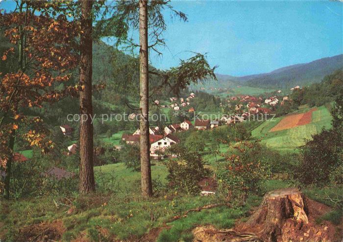 Altneudorf Schoenau Heidelberg BW Panorama