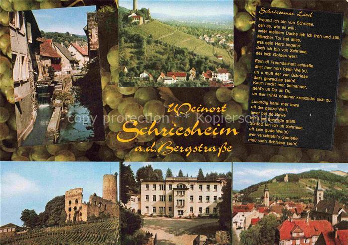 Schriesheim Kanal Ruine Panorama Kurhaus Ortspartie