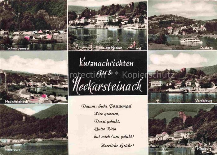 Neckarsteinach Neckarpartien Vorderburg Hinterburg Mittelburg Schwalbennest