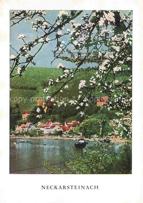 Neckarsteinach mit Vorder und Mittelburg