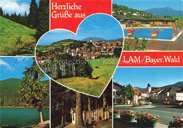 Lam Oberpfalz Teilansichten Freibad Landschaft See