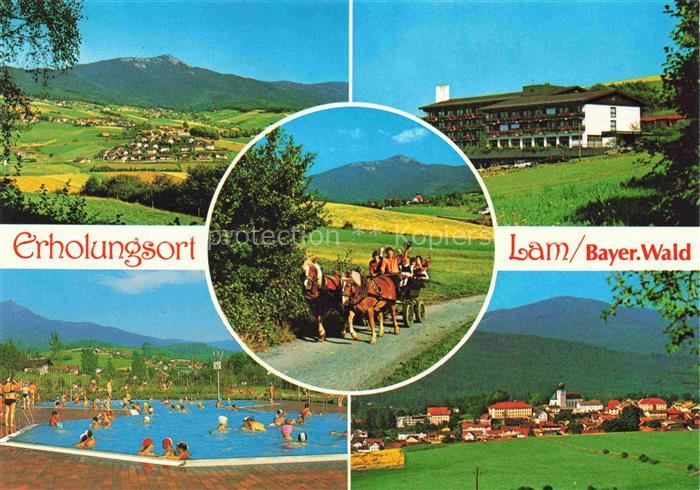 Lam Oberpfalz Panorama Erholungsort Freibad Pferdekutsche