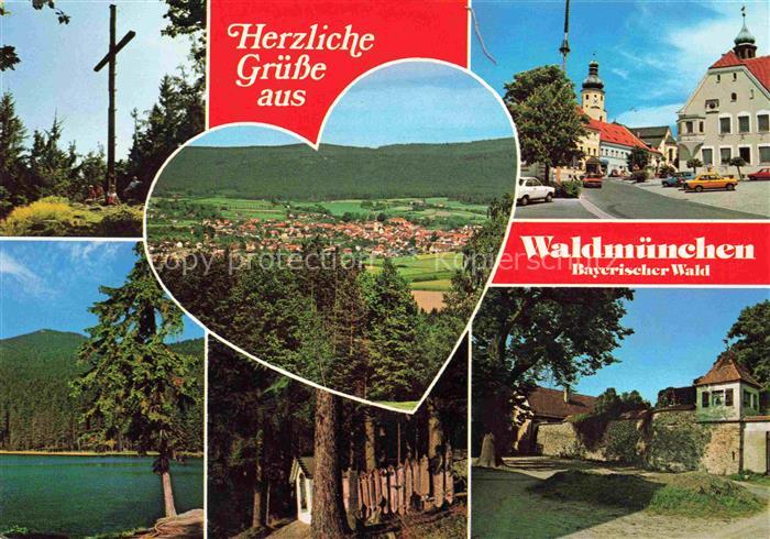 Waldmuenchen Cham Bayern Panorama Teilansichten Waldpartie See