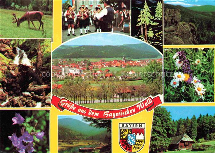 Waldmuenchen Cham Bayern Teilansichten Landschaft Flora Wasserfall Wild Musikkap