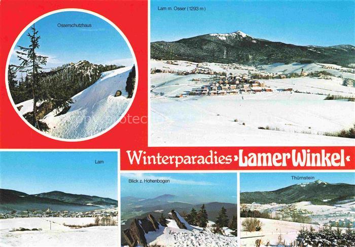 Lam Oberpfalz Panorama Wintersportplatz Lamer Winkel Bayerischer Wald Osserschut