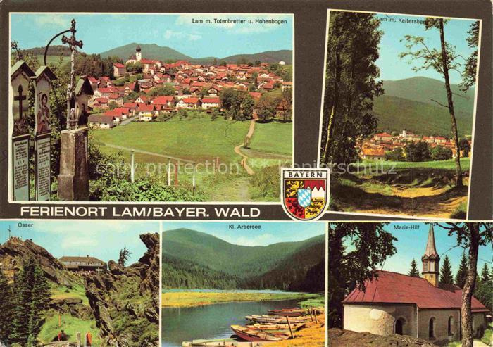 Lam Oberpfalz Panorama Totenbretter Hohenbogen Waldpartie Osser Arbersee Maria-H