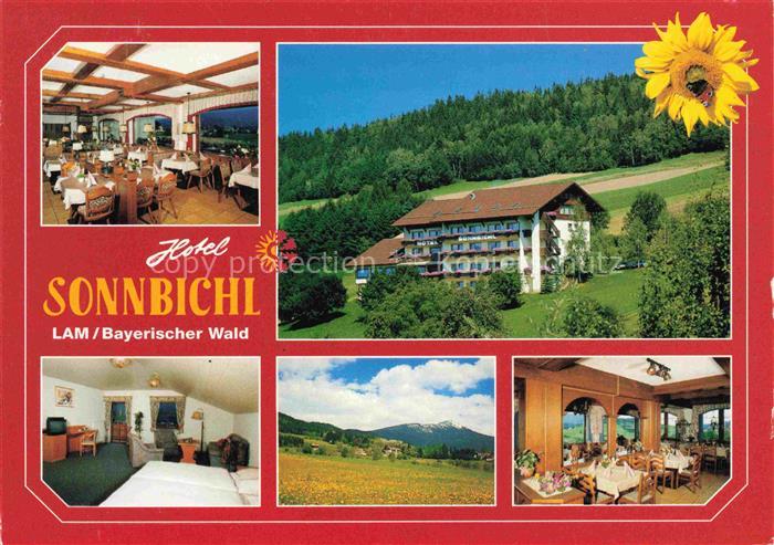 Lam Oberpfalz Hotel Sonnbichl Restaurant Fremdenzimmer Landschaftspanorama