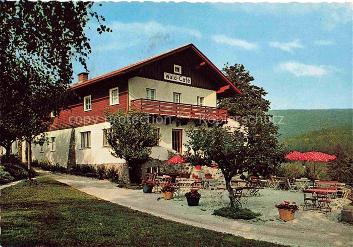 Waldmuenchen Cham Bayern Hotel Pension Waldcafé Terrasse