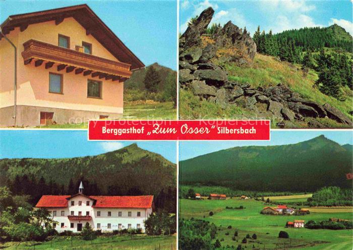 Silbersbach Berggasthof zum Osser Landschaftspanorama