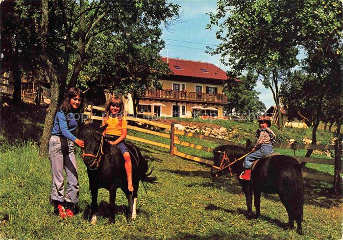 Wullendorf Ferien auf dem Lande Ponyreiten