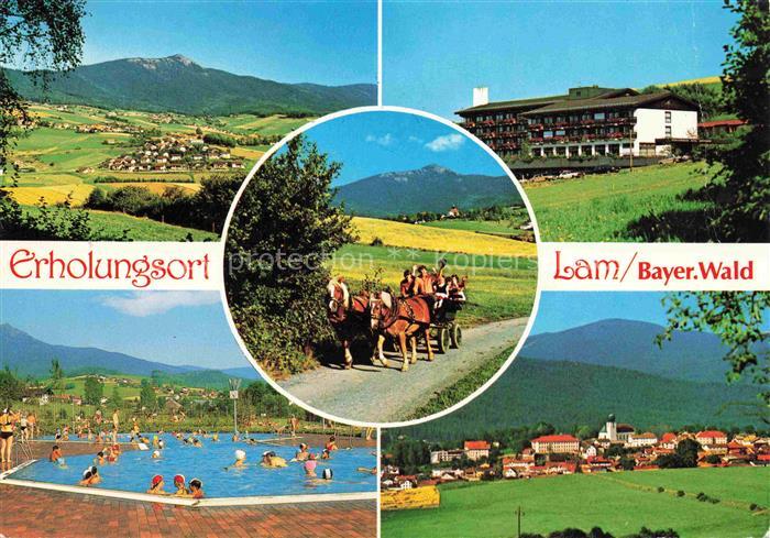 Lam Oberpfalz Panorama Erholungsort Freibad Pferdewagen Ortsansicht mit Kirche