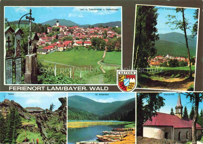 Lam Oberpfalz Ansicht mit Totenbretter und Hohenbogen Waldpartie Osser Arbersee