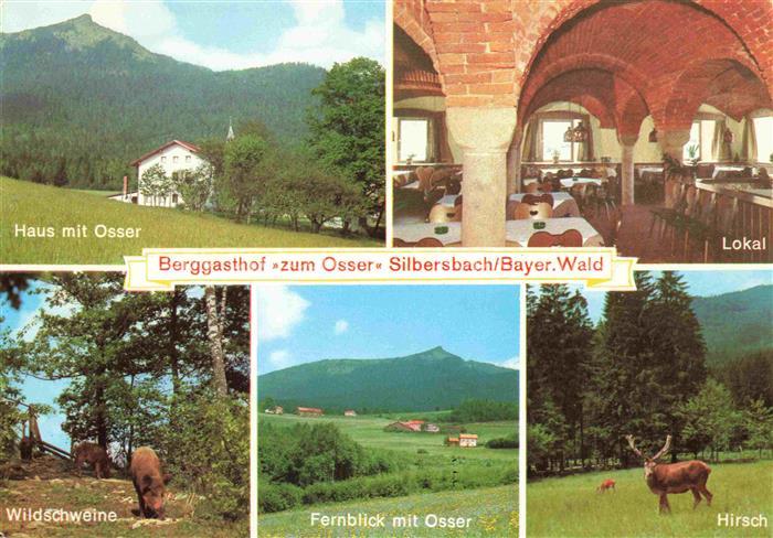Silbersbach Berggasthof zum Osser Lokal Panorama Wildschweine Hirsch