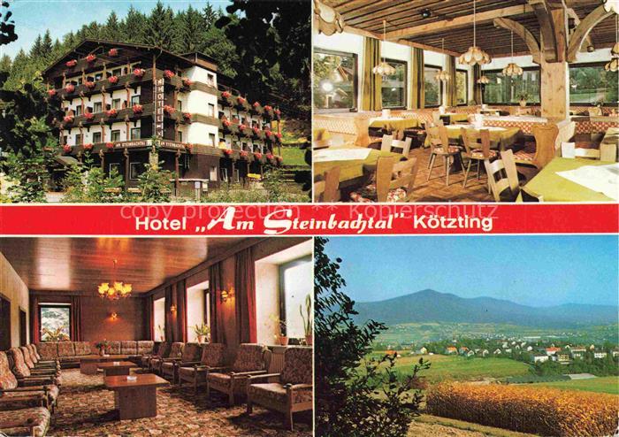 Koetzting Bad Bayern Hotel Am Steinbachtal Restaurant Panorama Bayerischer Wald