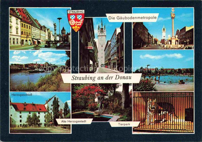 Straubing Teilansichten Gaeubodenmetropole Donaupartie Freibad Schloss Tierpark