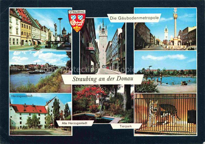 Straubing Teilansichten Gaeubodenmetropole Donau Freibad Schloss Tierpark