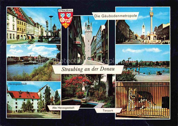 Straubing Ludwigsplatz Brunnen Stadtturm Freibad Donau Schloss Tierpark