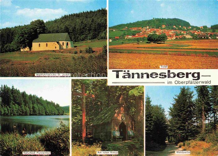 Taennesberg Neustadt Waldnaab Bayern Panorama Wallfahrtskirche St. Jodok Naturba