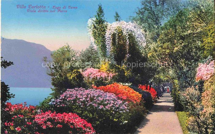 COMO  Lago di Como Lombardia IT Villa Carlotta viale diritto nel parco