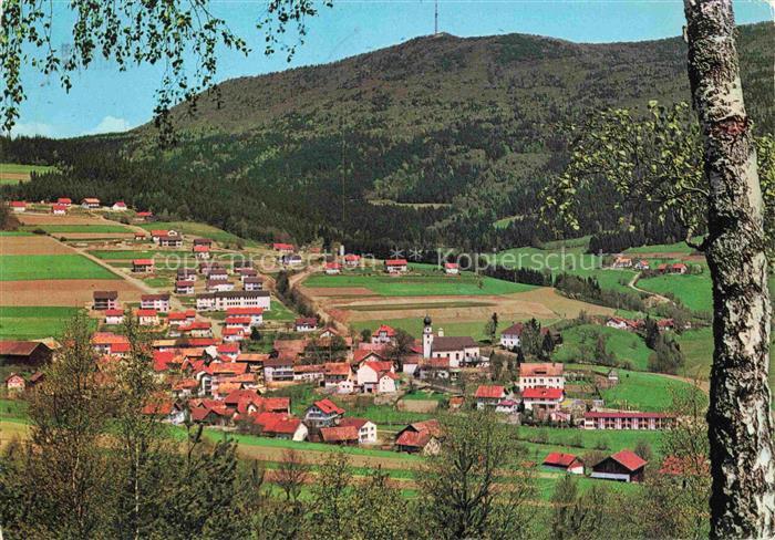 Rimbach Bayrischer Wald Panorama Blick ins Tal vom Waldrand aus Hohenbogen