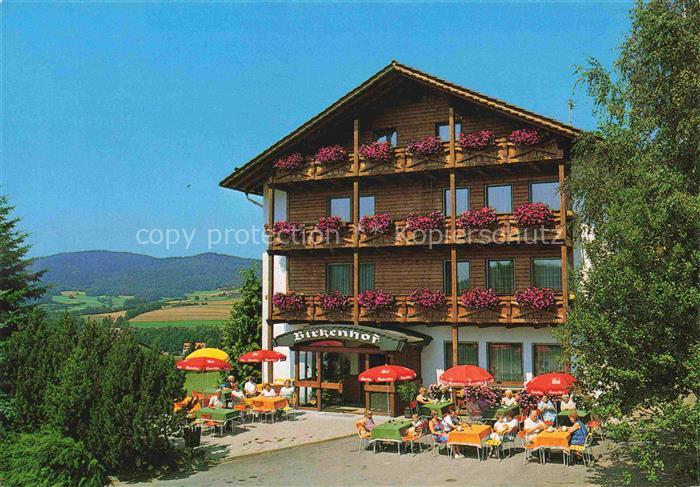 Grafenwiesen Cham Bayern Hotel Pension Birkenhof Terrasse