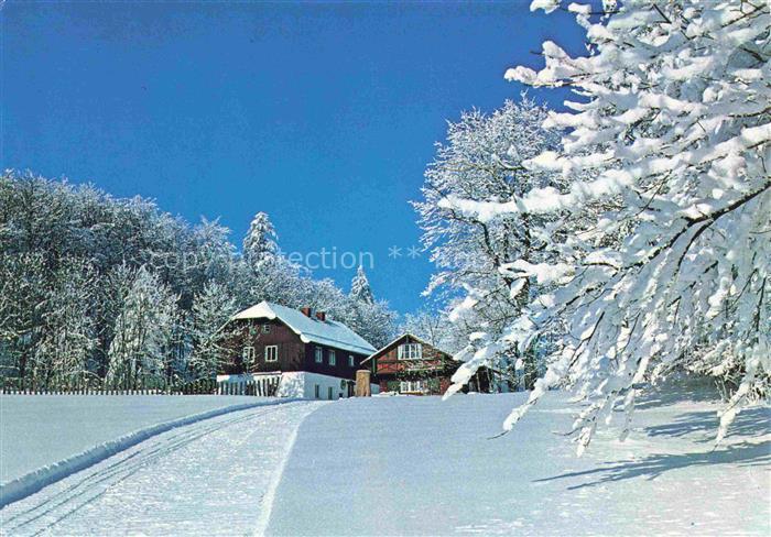 Rimbach Bayrischer Wald Ausflugslokal Hoher Bogen Winterlandschaft