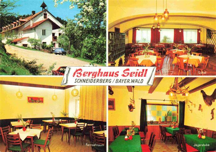 Schneiderberg Berghaus Seidl Lokal Fernsehraum Jaegerstube