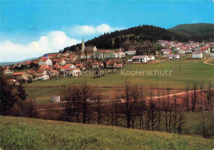 Hohenwarth Koetzting Panorama Erholungsort Bayerischer Wald