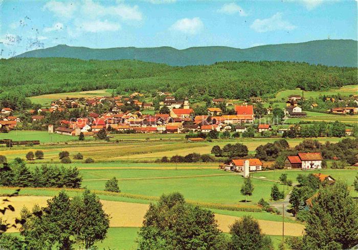 Blaibach Cham Bayern Panorama Erholungsort Blick gegen Hohenbogen Bayerischer Wa
