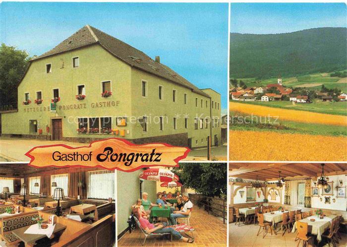 Gleissenberg Oberpfalz Gasthof Pension Pongratz Gastraum Terrasse Landschaftspan