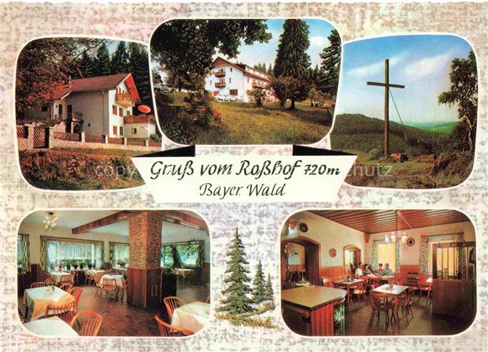 Geigant Waldmuenchen Cham Bayern Hotel Pension Café Rosshof Gastraeume Gipfelkre