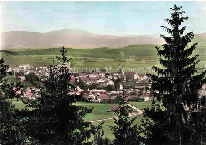 Furth Wald Fuerth Wald Panorama Blick gegen Osser