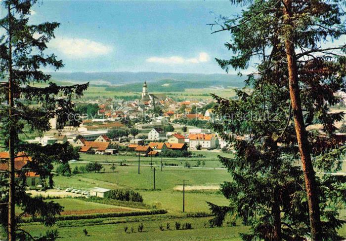 Cham  Oberpfalz Panorama Ansicht vom Waldrand aus