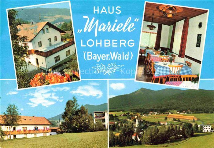 Lohberg Lam Gaestehaus Haus Mariele Panorama Bayerischer Wald