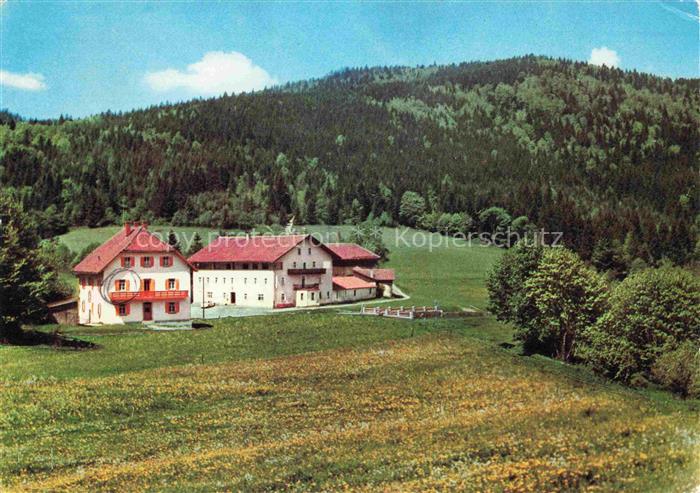 Arrach Berggasthof Pension Eck Bayerischer Wald