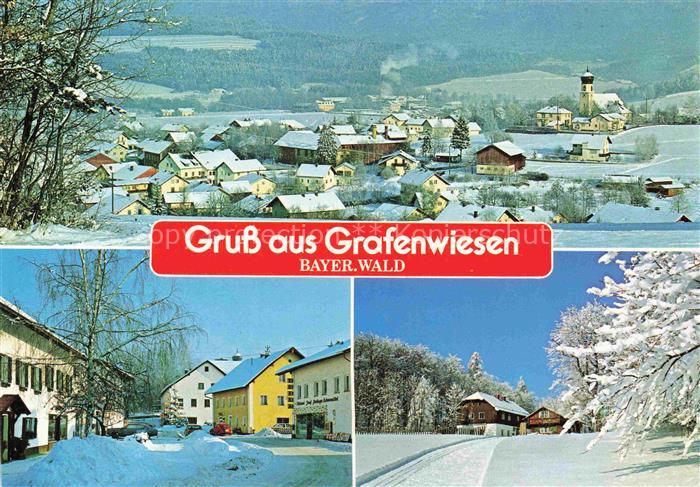 Grafenwiesen Cham Bayern Winterpanorama Erholungsort Bayerischer Wald