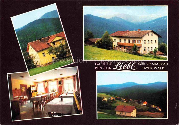 Sommerau Lohberg Gasthof Pension Liebl Panorama Bayerischer Wald