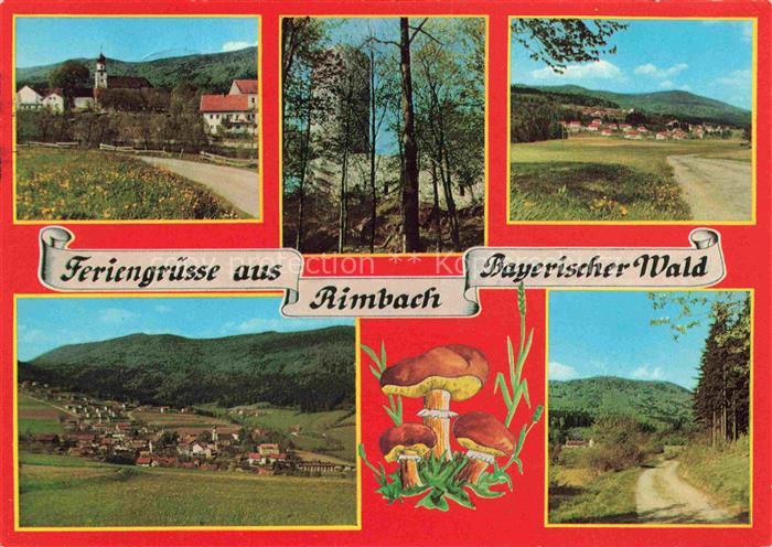 Rimbach Bayrischer Wald Panorama Erholungsort am Hohenbogen Burgruine