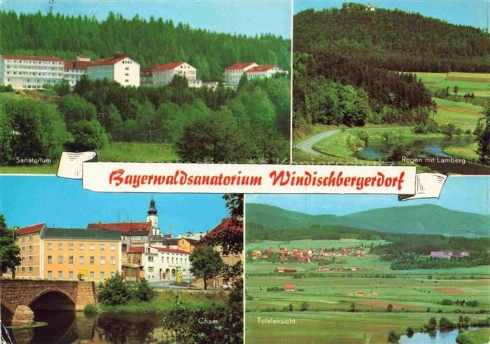 Windischbergerdorf Bergwald-Sanatorium Partie am Regen in Cham Panorama Lamberg