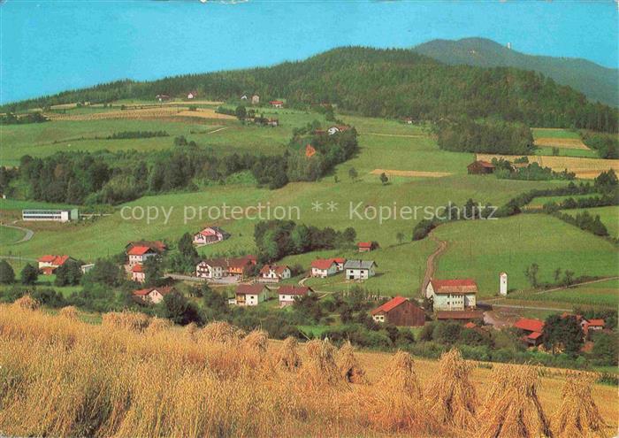 Mais Neukirchen Heilig Blut Panorama Blick ueber die Felder