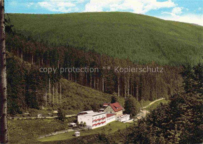 Warmensteinach Waldcafé Pension Pfeiferhaus Fichtelgebirge