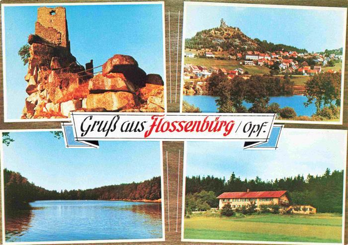 Flossenbuerg Burgruine Panorama See Landschaft