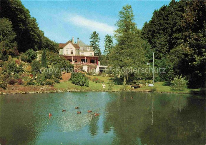 Rengsdorf Gondelteich Obere Muehle