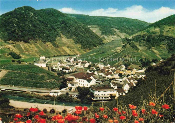 Mayschoss Ahr Weingut Panorama