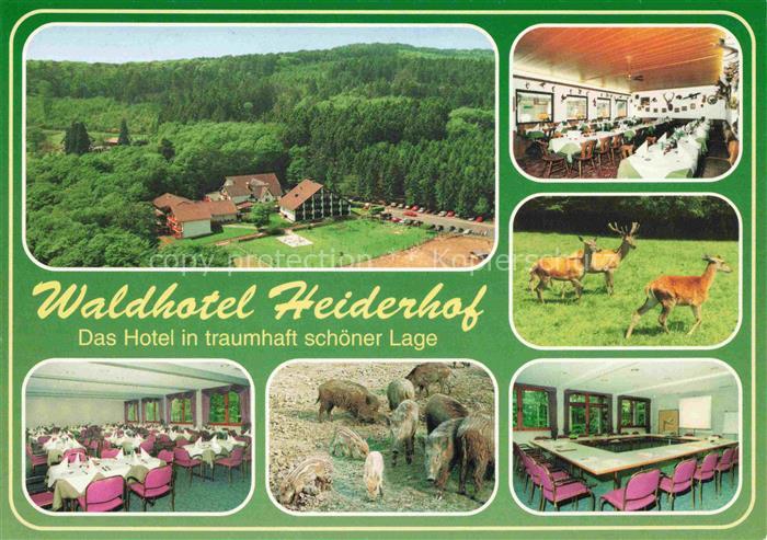 Obersteinebach Waldhotel Heiderhof Gastraeume Wildschweine Rehwild