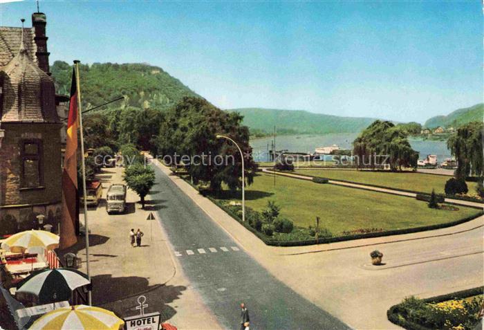 Andernach Rhein Rheinanlagen