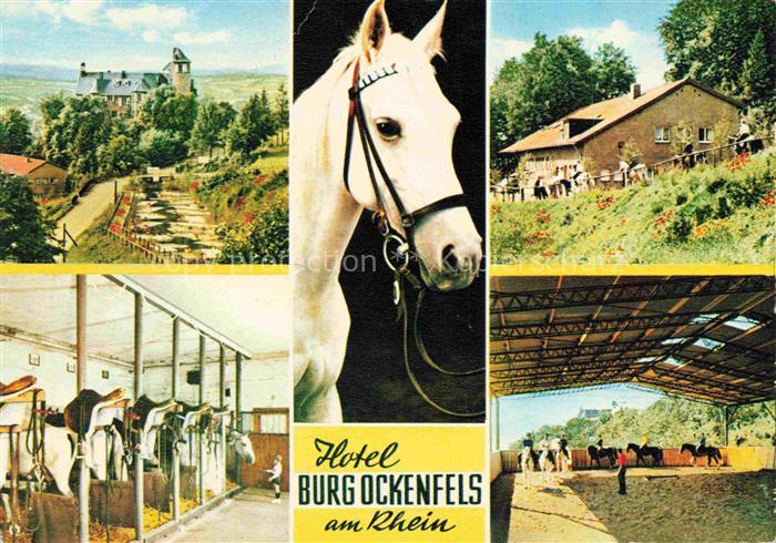 Linz Rhein Rheinland-Pfalz Hotel Burg Ockenfels Reithalle Pferdeboxen