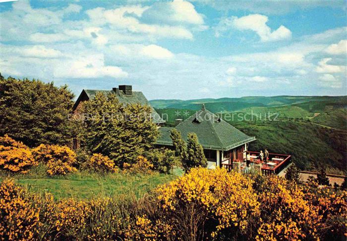 Ahrbrueck Steinerberghaus Terrasse